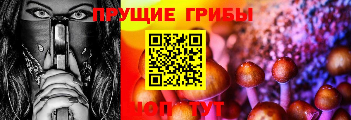 Псилоцибиновые грибы Курчатов